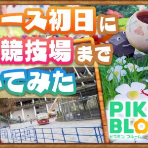 【ピクミンブルーム】序盤攻略！リリース初日に国立競技場まで歩いてみた【ピクミンGO】