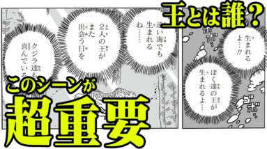 【ワンピース】 とんでも伏線！ 海王類が言っていた“ 2人の王 ”とは「 しらほし姫 」と「 〇〇〇 」のことだった！ 【 考察 】