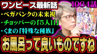 ベガパンクの正体判明！？くまに隠された秘密がヤバい！黒ひげvsローの決着は！？【 ワンピース 1064話 最新話 考察 】 ※ジャンプ ネタバレ 注意