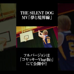 夢と境界線／THE SILENT DOG【MV】　#shorts