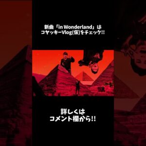 in Wonderland／THE SILENT DOG【MV】