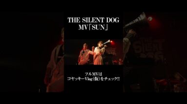 SUN／THE SILENT DOG 【MV】 #shorts