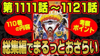 【総集編】ワンピース最新110巻をより楽しめる！内容＆考察を完全網羅！ベガパンクの配信がヤバい！ジョイボーイの正体とは…？【 1111話〜1121話 最新刊 作業用 睡眠用 聞き流し BGM 】