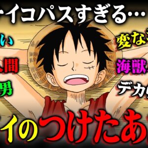 ルフィがつけるあだ名に法則。今後の展開に全て繋がる！？※ネタバレ 注意 【 ONE PIECE 考察 最新 1129話 】