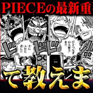 ONE PIECEの謎を完全解説。最終章で重要になる情報を知識王が全て教えます※ネタバレ 注意【 ワンピース 考察 まとめ 最新話 総集編 作業用 睡眠用 聞き流し BGM 】