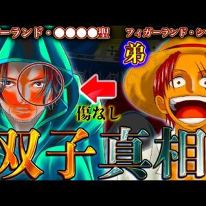 【ONE PIECE 1135話】ヤツはクローンか？双子か？クローンである最大の根拠と正体は◯◯◯...※考察&ネタバレ注意