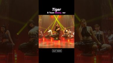 No No Girls - 5th Round"Tiger" Showy. ver -Performance video-on YouTube