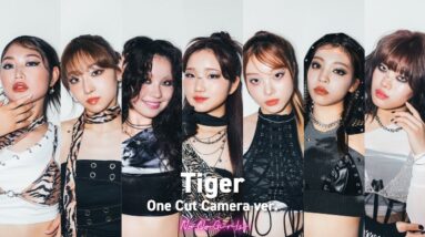 Tiger - Showy. ver from Audition "No No Girls" -One Cut Camera ver-