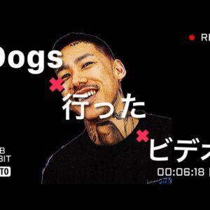 Dogs × 行った × ビデオ