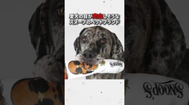 愛犬の目が充血しそうなSnoop Doggのペットブランド