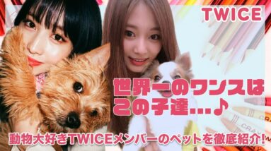 【TWICE】メンバーのペットを徹底紹介...！！動物大好きTWICEの一番のONCEであるペット達が可愛すぎる♡