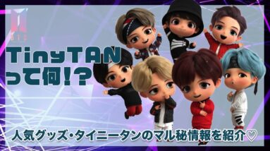 【BTS】大人気「TinyTAN」って知ってる！？人気グッズ・タイニータンのマル秘情報♡