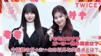 【TWICE モモ】モモとサナがガーシー砲の餌食に！？意外すぎた共通点とは？