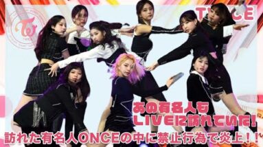 【TWICE】あの有名人もLIVEに訪れていた！有名人ONCEの中に禁止行為で炎上！！