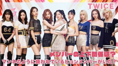 【TWICE】メンバー内の上下関係は？マンネのように扱われているヒョンがいた！！