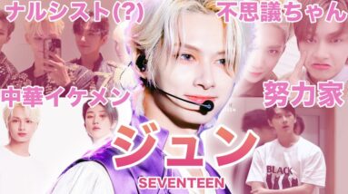 【リアル王子様】SEVENTEEN”ジュン”のおもしろエピソード50連発！！！