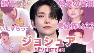 【ジェントルマン】SEVENTEEN”ジョシュア”のおもしろエピソード50連発！！！