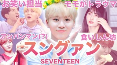 【美容王ブーちゃん】SEVENTEEN”スングァン”のおもしろエピソード50連発！！！