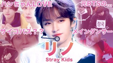 【踊る宝石】Stray Kids”リノ”のおもしろエピソード50連発！！！