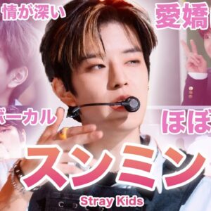 【賢いワンちゃんボーカル】Stray Kids”スンミン”のおもしろエピソード50連発！！！