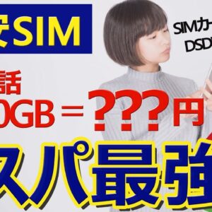 【DSDVは超お得】現時点での格安SIMの最適解【コスパ最強】MVNO/LINEモバイル/フジWiFi