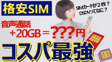 【DSDVは超お得】現時点での格安SIMの最適解【コスパ最強】MVNO/LINEモバイル/フジWiFi