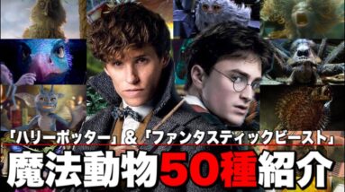 「ハリーポッター」全8作品と「ファンタスティックビースト」過去2作品に登場した魔法動物50種&視聴者投票で決める人気ランキング【勝手に決めるランキング第4弾】