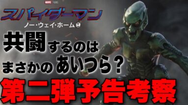 【スパイダーマン:ノーウェイホーム】ピーターが共闘するのはまさかのあの敵２人なのでは？/第二弾予告考察①【mcu/マーベル/アベンジャーズ】