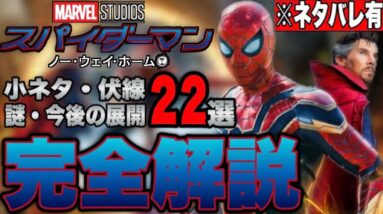 【スパイダーマン:ノーウェイホーム】気づいた？小ネタ,伏線,謎,今後の展開を考察&完全解説※ネタバレあり【mcu/アベンジャーズ/ssu/マーベル】