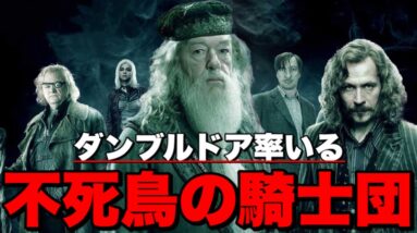 【ハリーポッター】偉大なる魔法使いダンブルドア率いる不死鳥の騎士団メンバー紹介【ファンタスティックビースト】