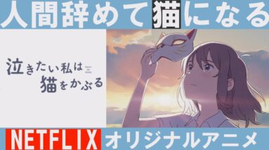 【解説レビュー】『泣きたい私は猫をかぶる』NETFLIX配信限定アニメ｜主題歌ヨルシカ-花に亡霊【ネタバレなし/予告】