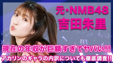 元・NMB48・吉田朱里の現在の年収が巨額すぎて一同驚愕...！あかりんのYouTubeの広告収入などのギャラの内訳が衝撃的すぎた...！