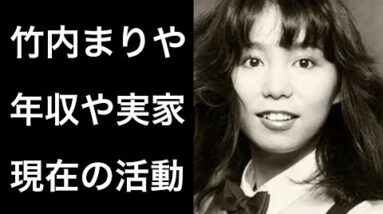 【解説】竹内まりやの卒婚をした現在の活動に驚愕！そして山下達郎との資産総額や年収にも驚きを隠せない！