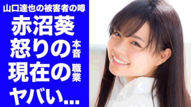 【衝撃】山口達也の被害者と言われる"赤沼葵"の現在...高校中退までさせられた末路に言葉を失う...『Rの法則』でも有名なタレントの現在...彼氏の正体に驚きを隠せない...